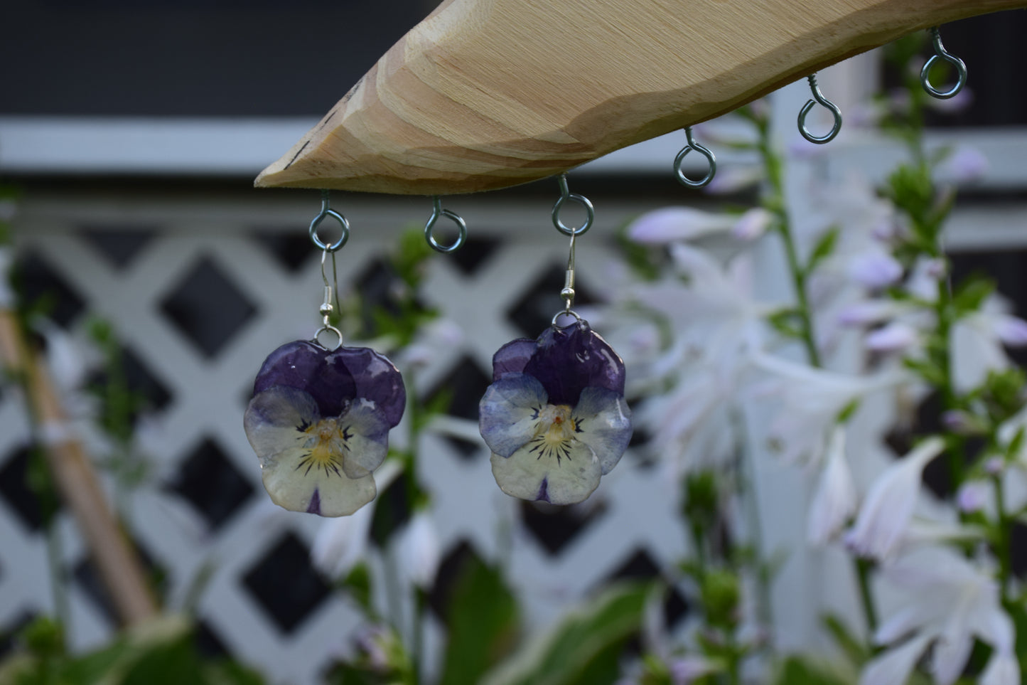 Real Preserved Pansy Flower Earrings