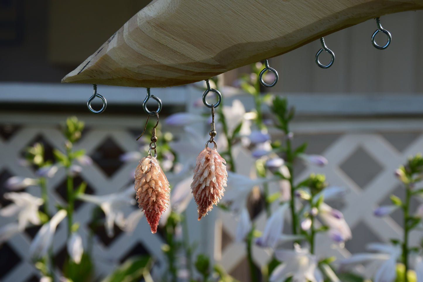 Real Preserved Celosia (Flamingo Feather) Flower Earrings
