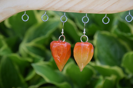 Real Ground Cherry (Chinese Lantern) Earrings