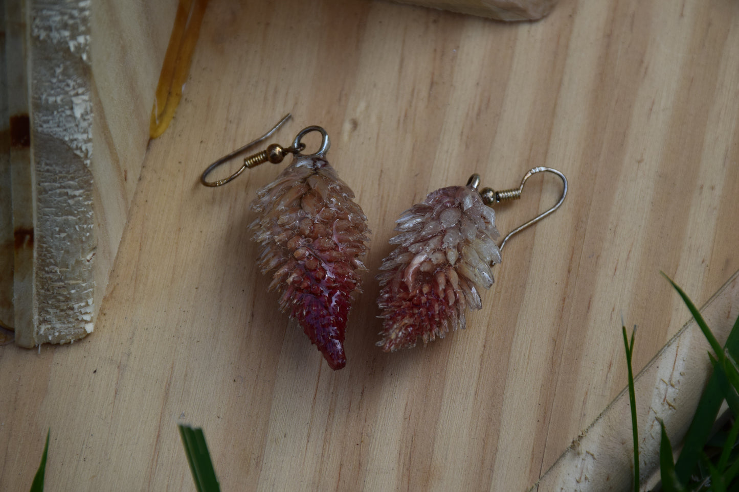 Real Preserved Celosia (Flamingo Feather) Flower Earrings