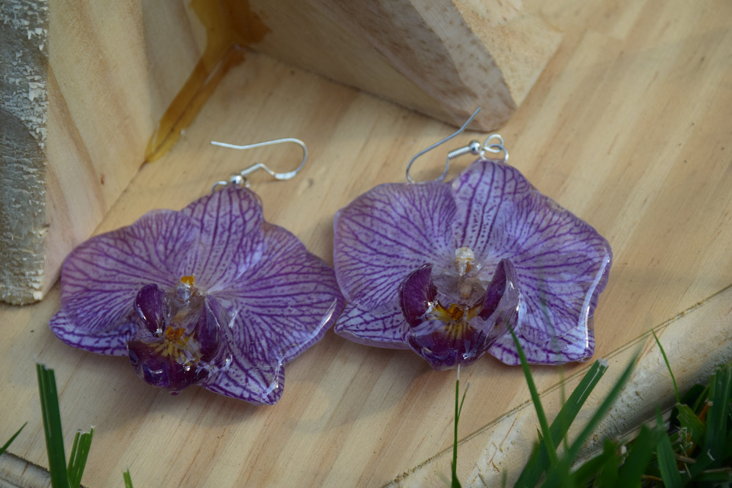 Real Preserved Orchid (Phalaenopsis) Flower Earrings